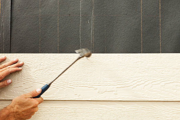 Best Fiber Cement Siding Installation  in Greenville, IN